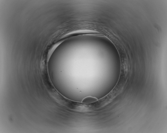 X0000115830611200911131507