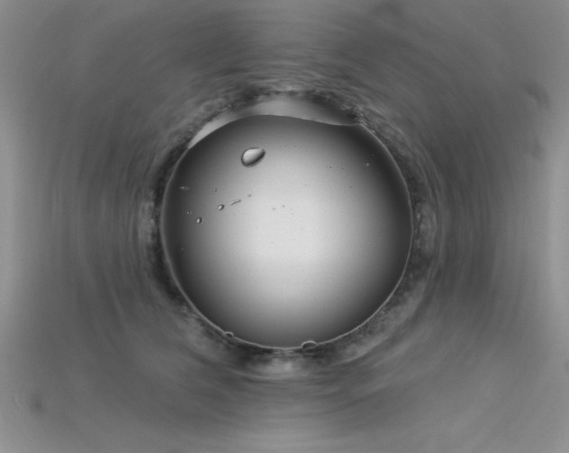 X0000115830612200911131507