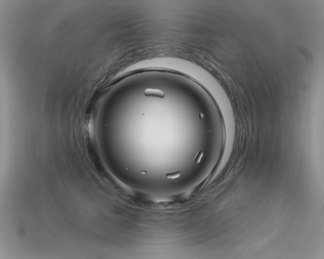 X0000115830613200911131507