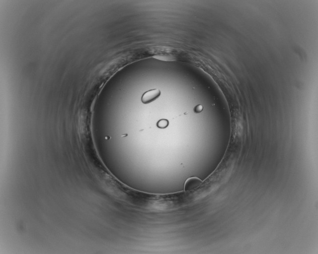 X0000115830616200911131507