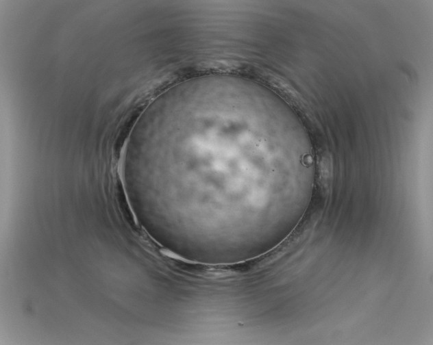 X0000115830617200911131507