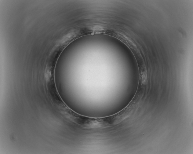 X0000115830618200911131507