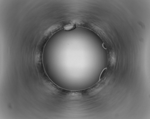 X0000115830619200911131507