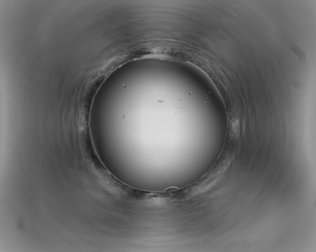 X0000115830620200911131507