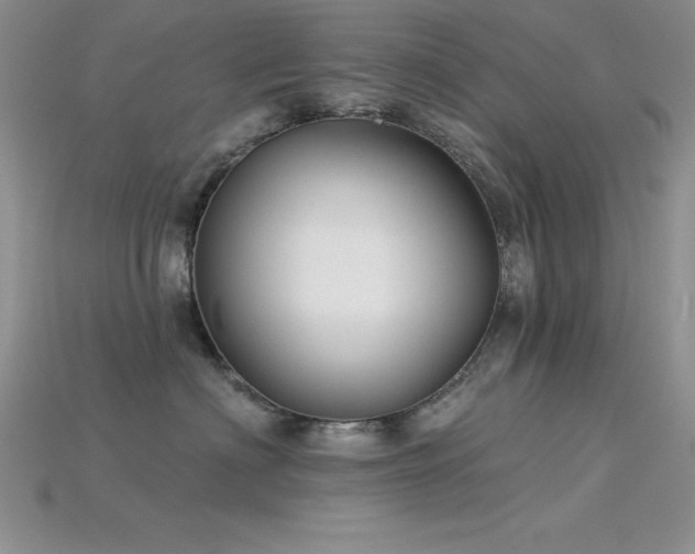 X0000115830622200911131507