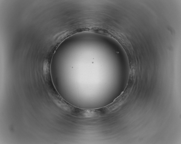 X0000115830623200911131507