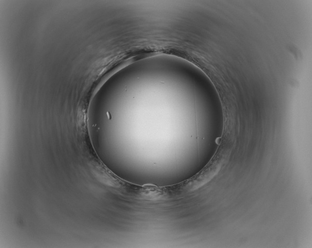 X0000115830624200911131506