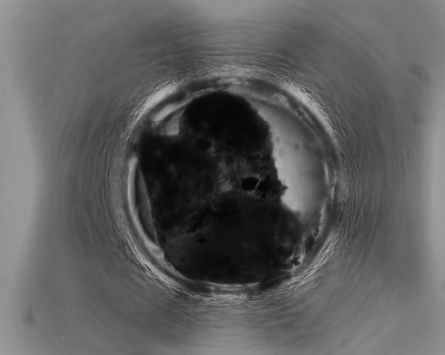 X0000115830625200911131506