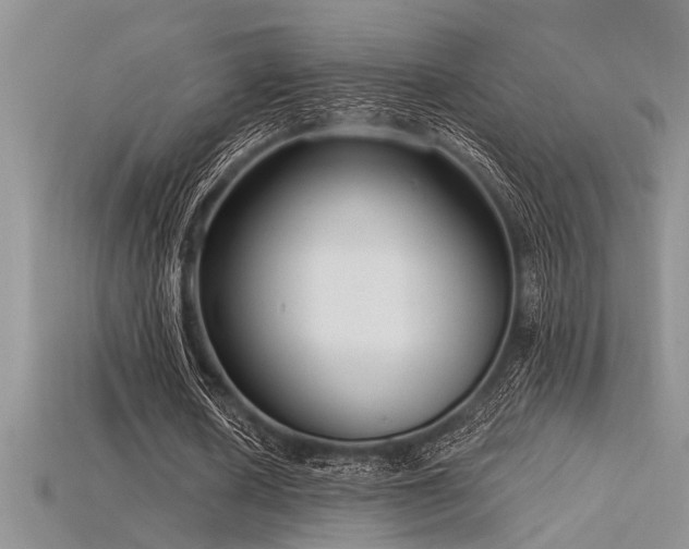 X0000115830626200911131506