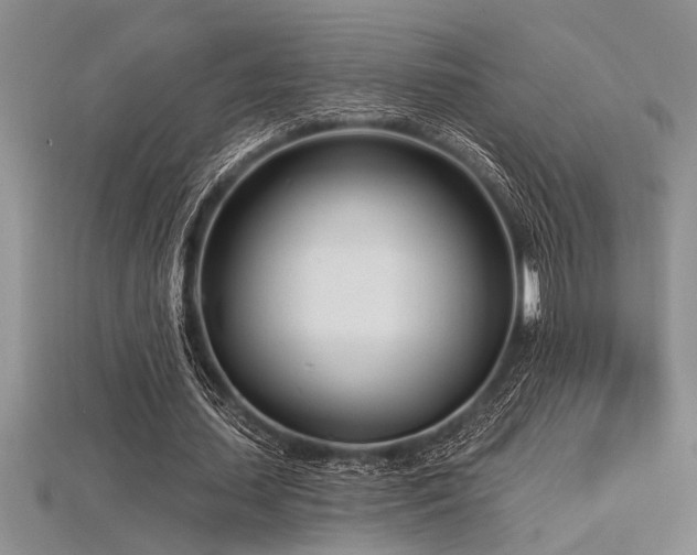 X0000115830627200911131506