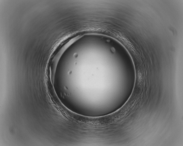 X0000115830628200911131506