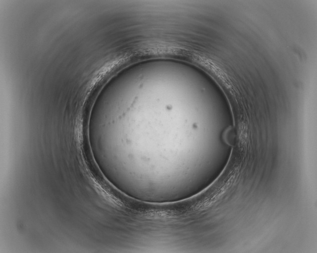 X0000115830629200911131506