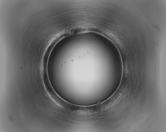 X0000115830630200911131506