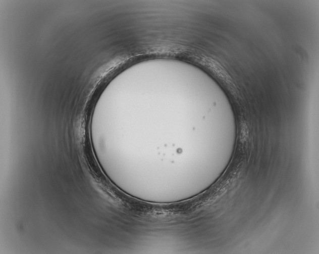 X0000115830632200911131506