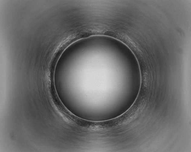 X0000115830634200911131506