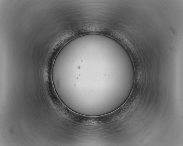 X0000115830635200911131506