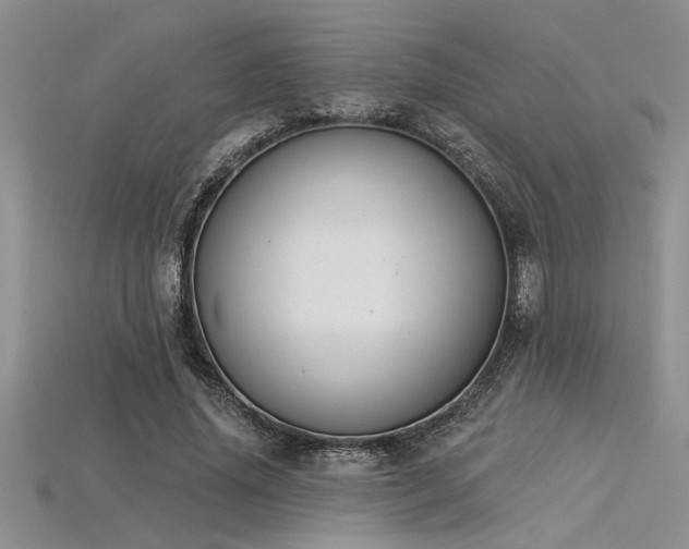 X0000115830636200911131506