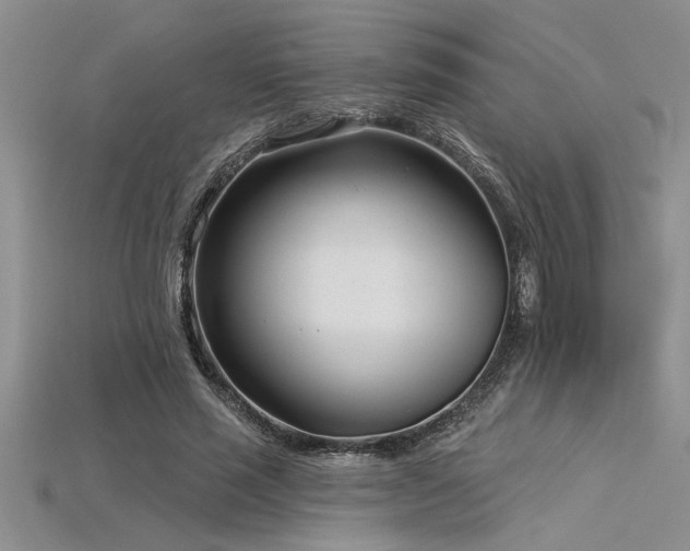 X0000115830637200911131506