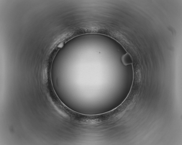 X0000115830638200911131506