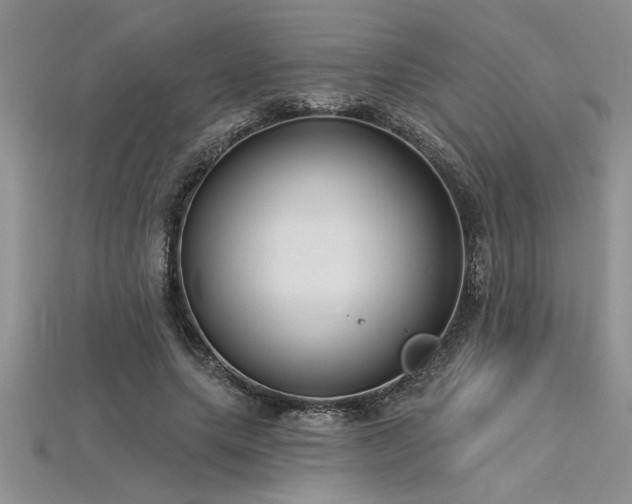 X0000115830639200911131506