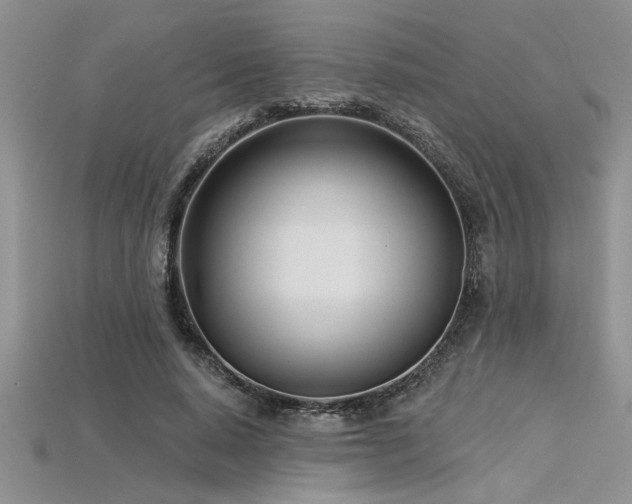 X0000115830640200911131506