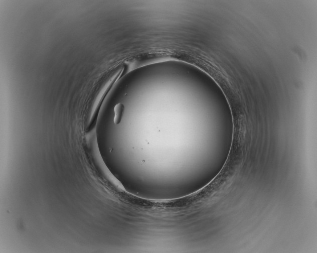 X0000115830641200911131506