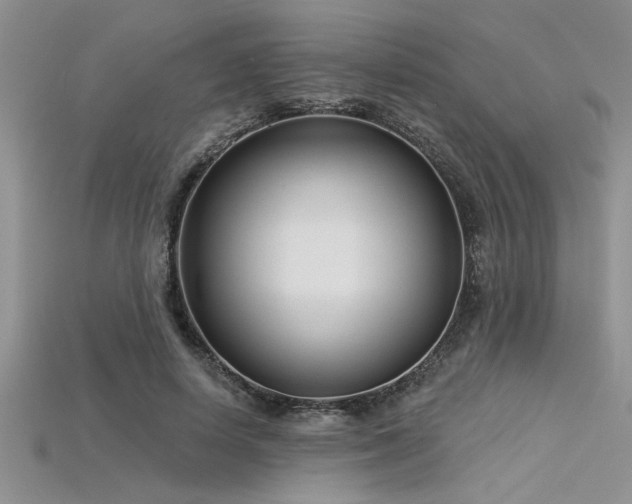 X0000115830642200911131506