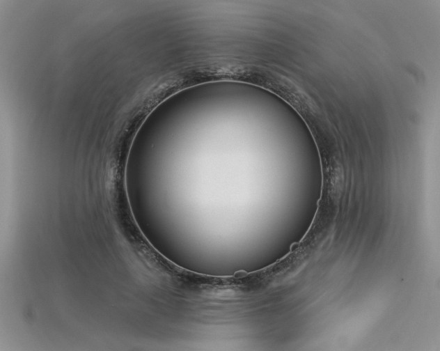 X0000115830643200911131506