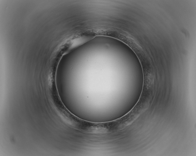 X0000115830644200911131506