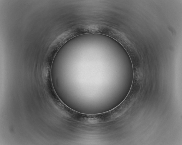 X0000115830645200911131506