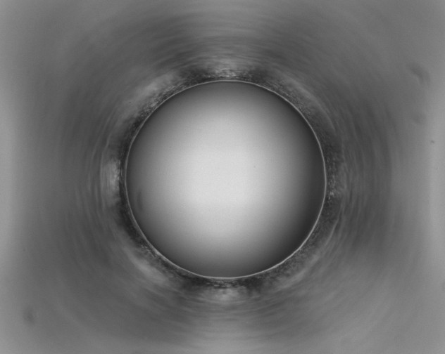 X0000115830646200911131506