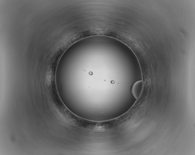 X0000115830647200911131506