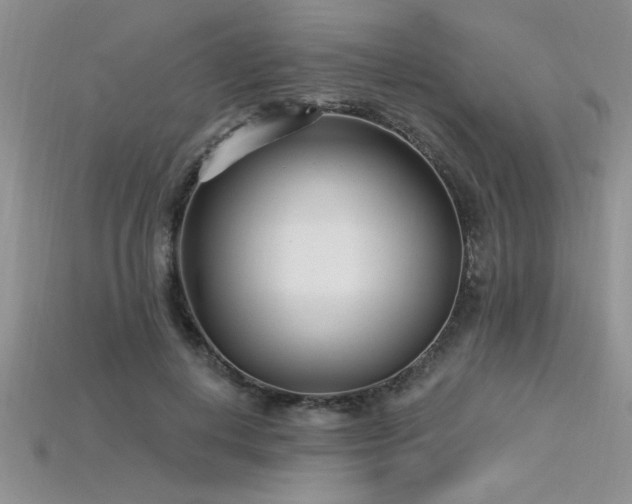 X0000115830648200911131506