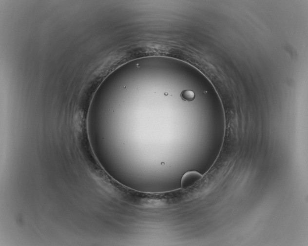 X0000115830649200911131506