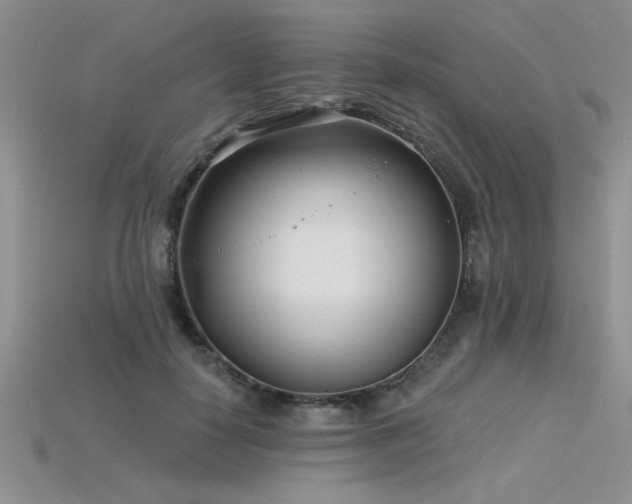 X0000115830650200911131506