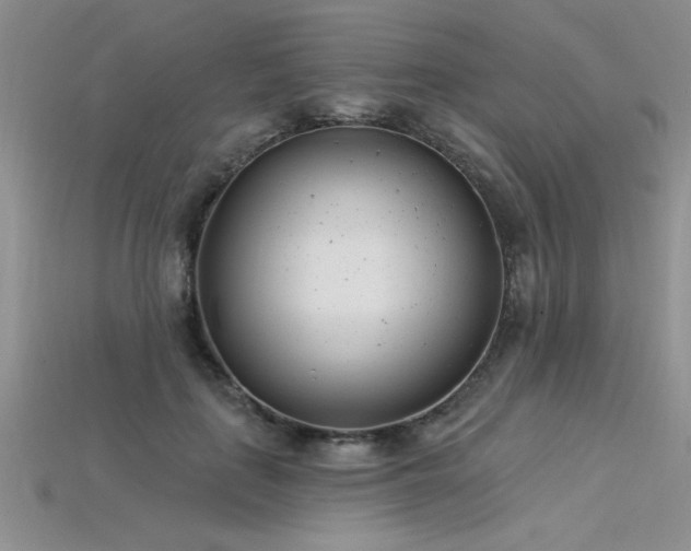 X0000115830651200911131506