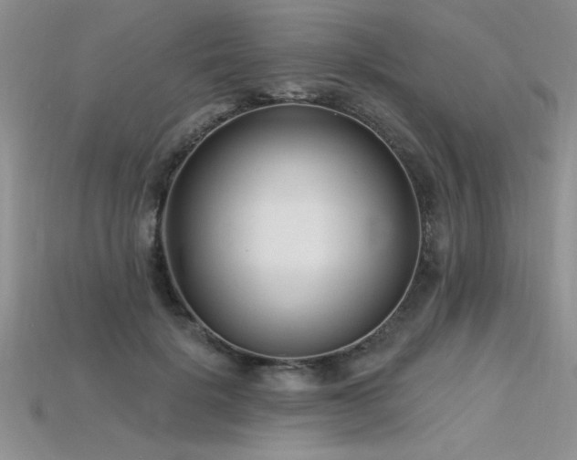 X0000115830652200911131506