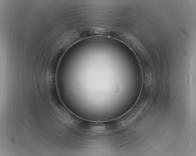 X0000115830653200911131506