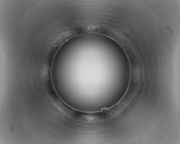 X0000115830654200911131506