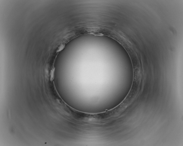 X0000115830655200911131506