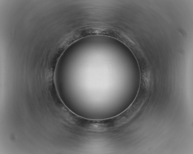 X0000115830657200911131506