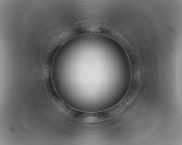 X0000115830658200911131506