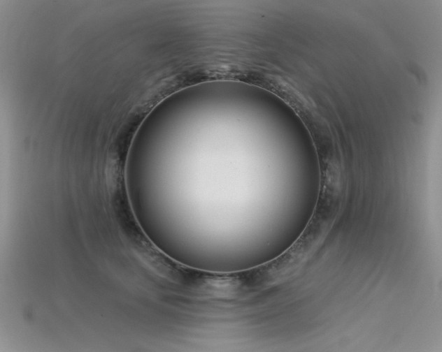 X0000115830659200911131506