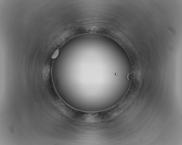 X0000115830660200911131506