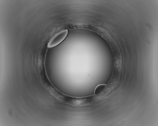 X0000115830662200911131506