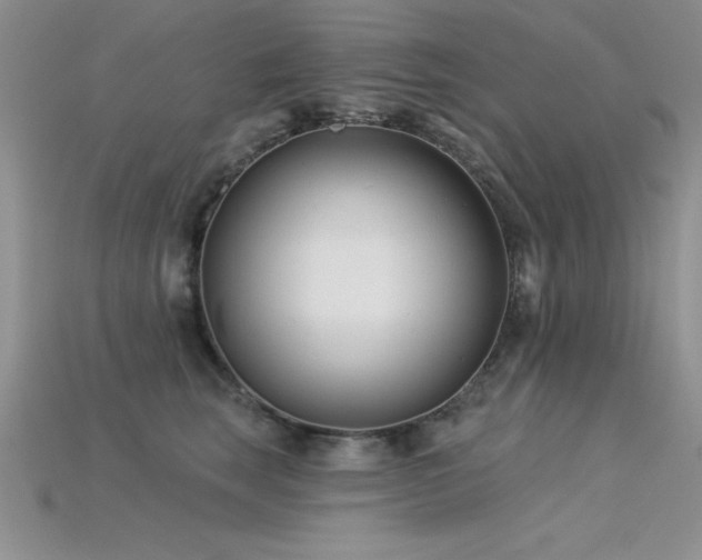 X0000115830663200911131506