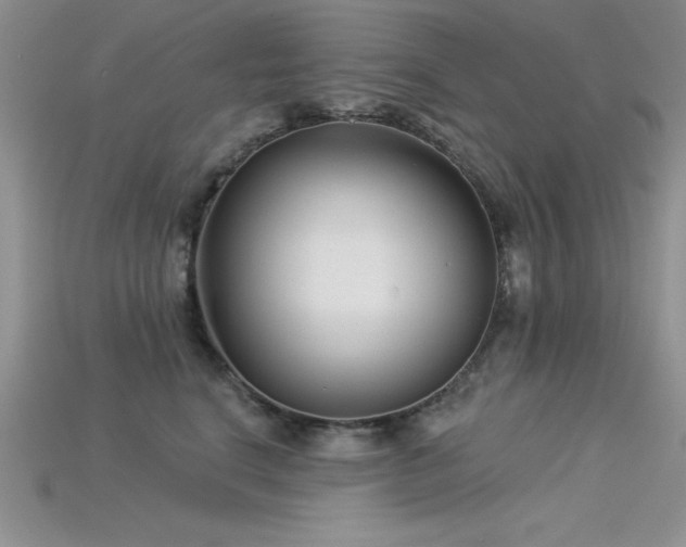 X0000115830664200911131506