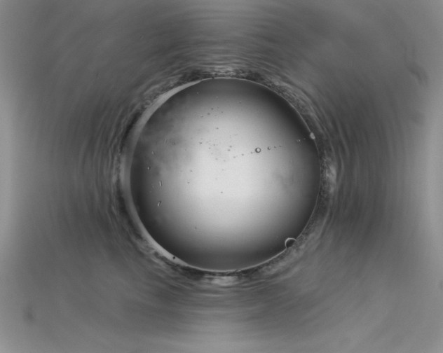 X0000115830665200911131506