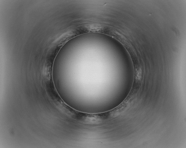 X0000115830666200911131506