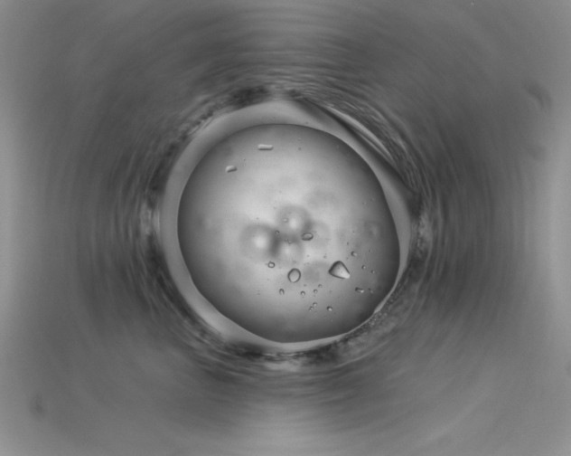 X0000115830667200911131506